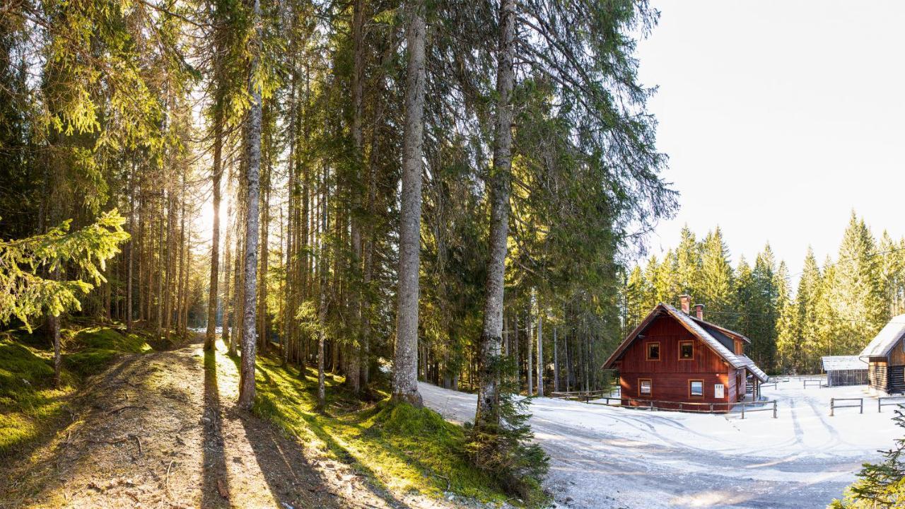 Digital Detox Chalet Pokljuka Горельек Экстерьер фото