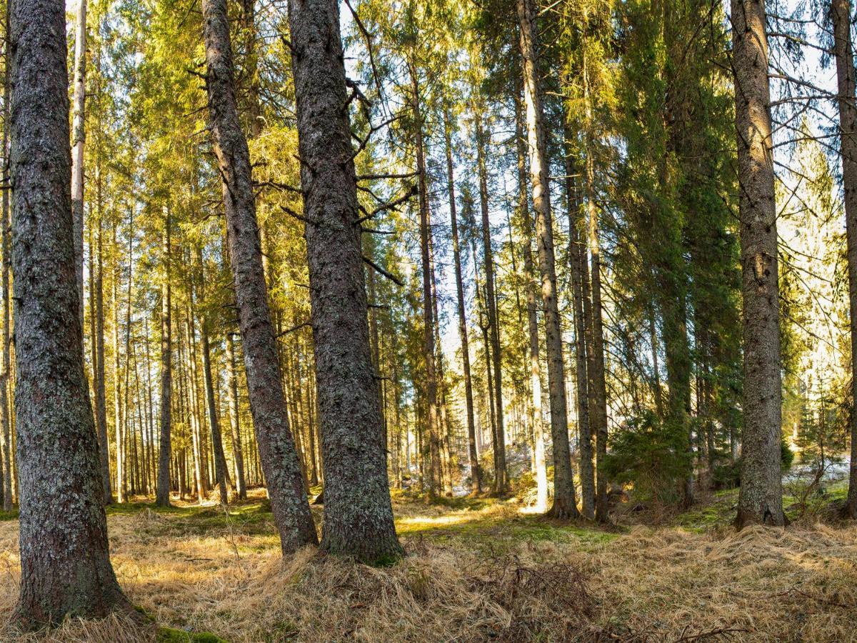 Digital Detox Chalet Pokljuka Горельек Экстерьер фото
