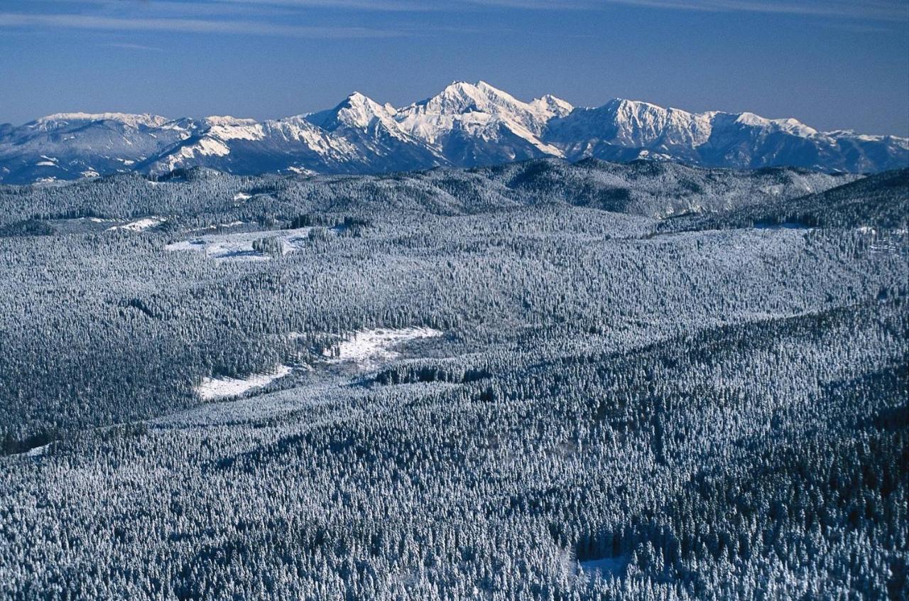 Digital Detox Chalet Pokljuka Горельек Экстерьер фото